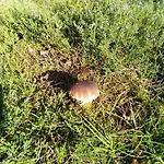Spreewaldhaeuser Golinski Mit Kamin Am Neuendorfer בית נופש Alt Schadow