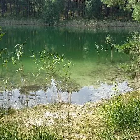 Spreewaldhaeuser Golinski Mit Kamin Am Neuendorfer Alt Schadow