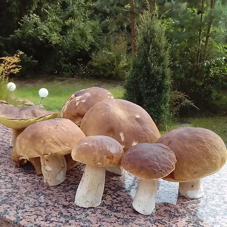 Holiday home Spreewaldhaeuser Golinski Mit Kamin Am Neuendorfer Alt Schadow