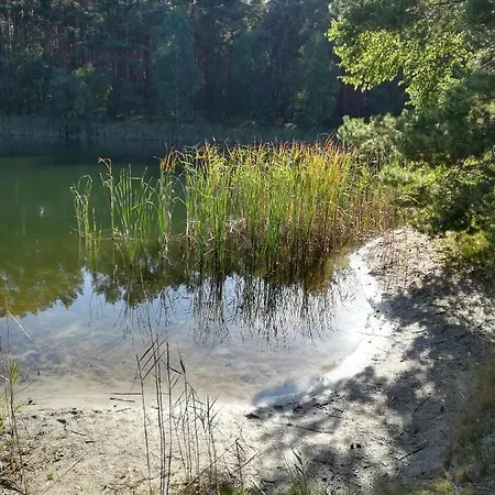 Spreewaldhaeuser Golinski Mit Kamin Am Neuendorfer Alt Schadow