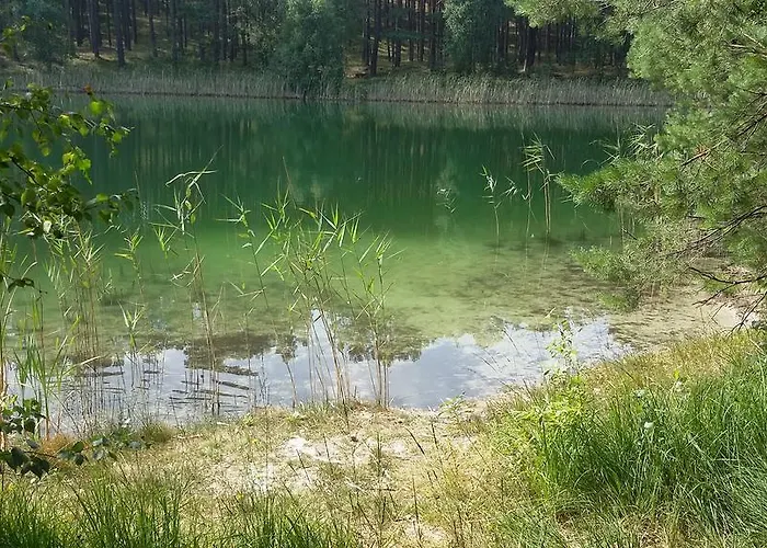 Spreewaldhaeuser Golinski Mit Kamin Am Neuendorfer Alt Schadow