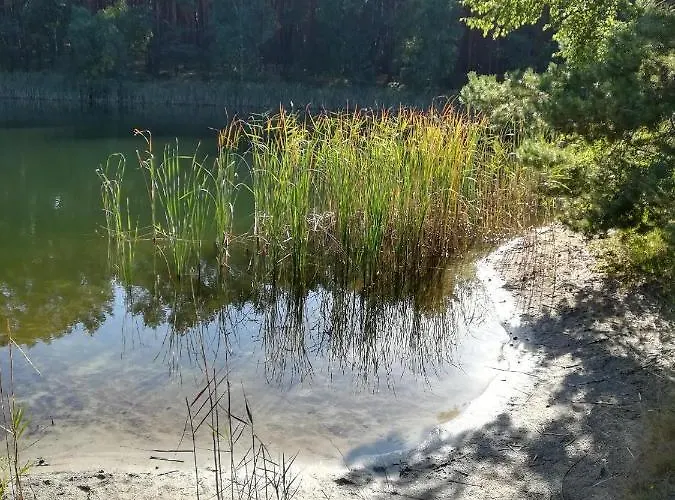Spreewaldhaeuser Golinski Mit Kamin Am Neuendorfer Alt Schadow