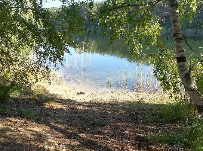 Σπίτι διακοπών Spreewaldhaeuser Golinski Mit Kamin Am Neuendorfer *